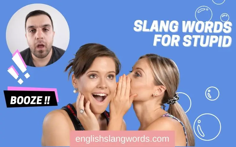 Stupid In Slang Words